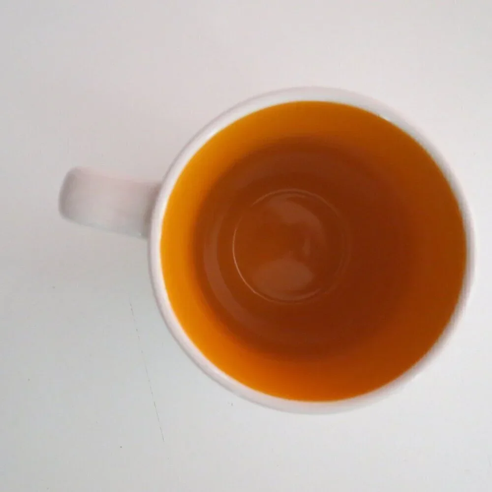 RARE Rae Dunn Scaredy Cat coffee/tea Mug 20 oz White Orange Halloween #91